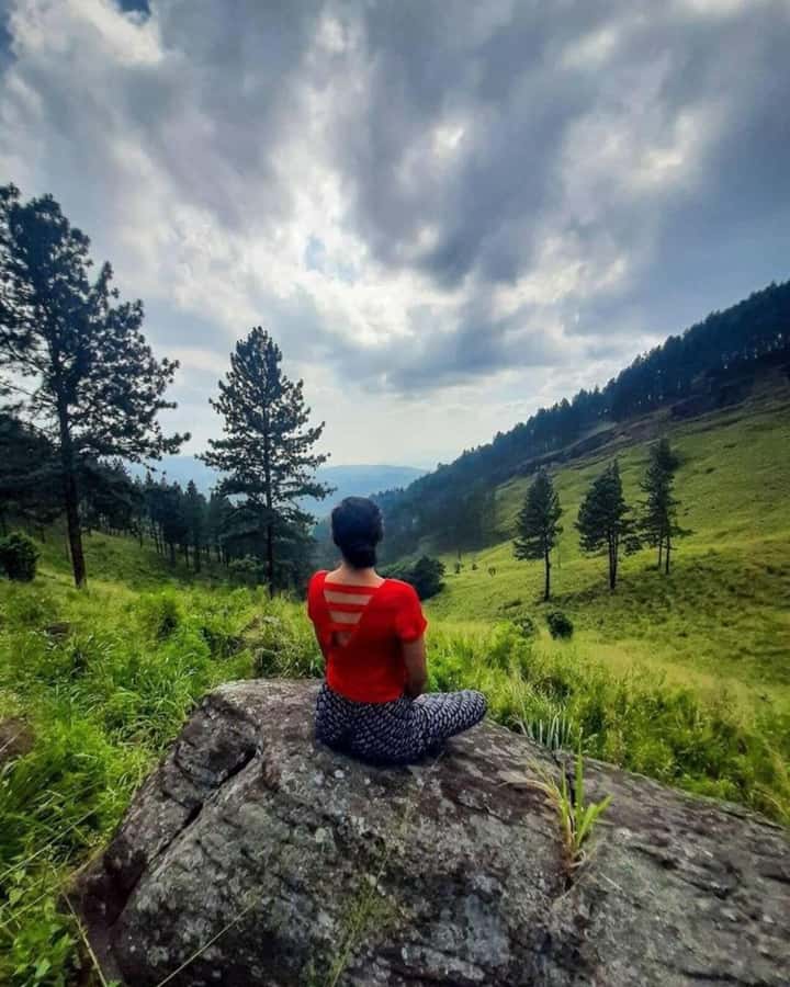 Kandy: Hidden Highlands Nature Walk - Practical Details & Tips