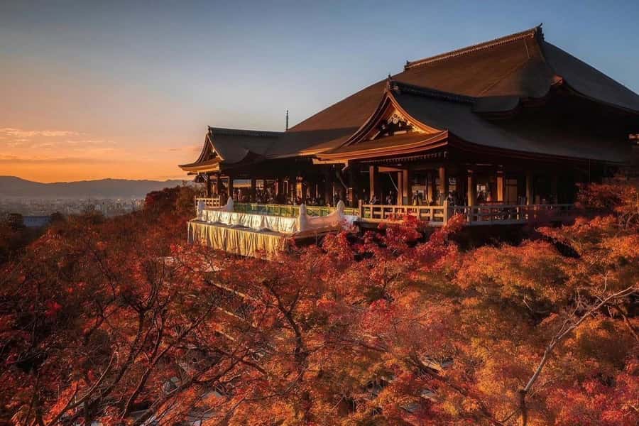 Kyoto: Private Full-Day Sakura Tour by Vehicle with Guide - Authentic Experiences and Additional Value