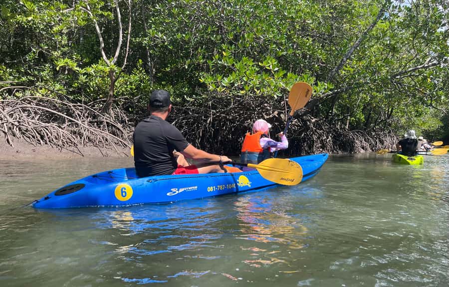 Ko Lanta: Thung Yee Peng Mangrove Kayak Rental - The Itinerary and Practical Details