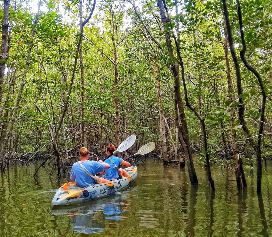 Ko Lanta: Thung Yee Peng Mangrove Kayak Rental - Who Will Love This Experience?