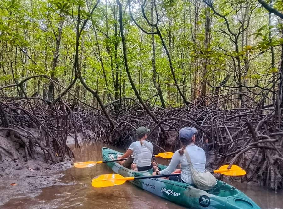 Ko Lanta: Thung Yee Peng Mangrove Kayak Rental - FAQ