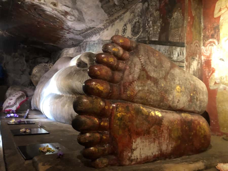 Kandy: Sigiriya and Dambulla Day Trip with local guide - Good To Know