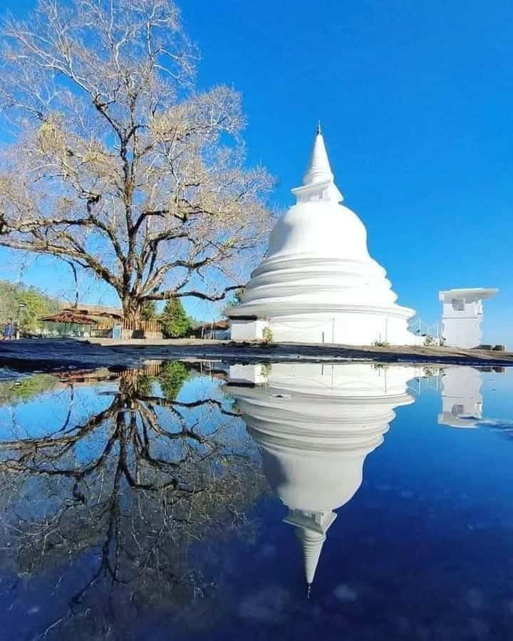 Kandy: Carvings, Stone Temples & Sacred Rituals Day Tour - Exploring Kandy’s Sacred Traditions