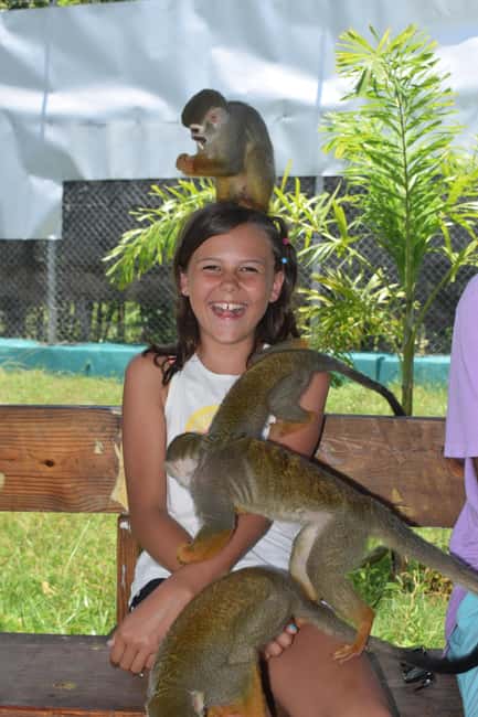 Monkey Tour Interaction and Historic Center (Puerto Plata) - Who Will Enjoy This Tour?