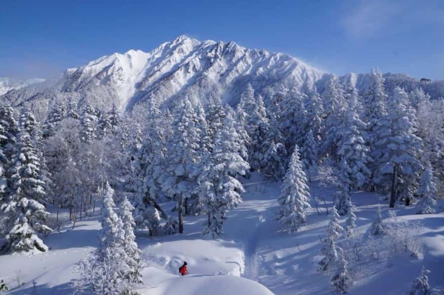 Nagoya return day tour Shin-Hotaka Ropeway& Hida Takayama - Key Points