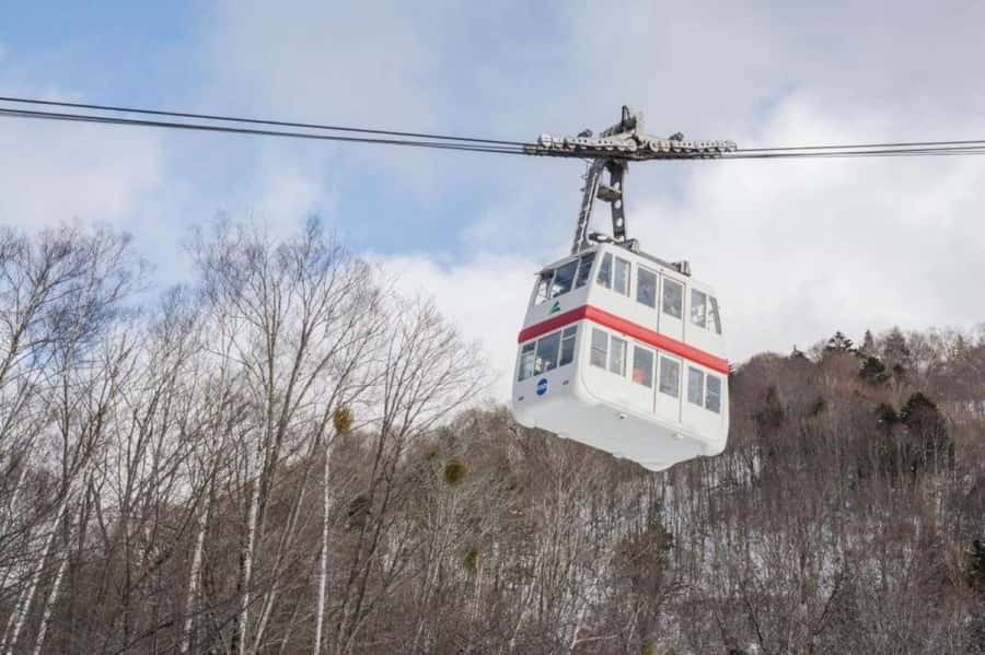 Nagoya return day tour Shin-Hotaka Ropeway& Hida Takayama - Who This Tour Is Best Suited For