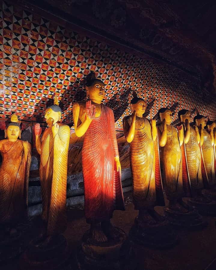 From Kandy: Sigiriya, Dambulla, & Minneriya Private Day Trip - Good To Know