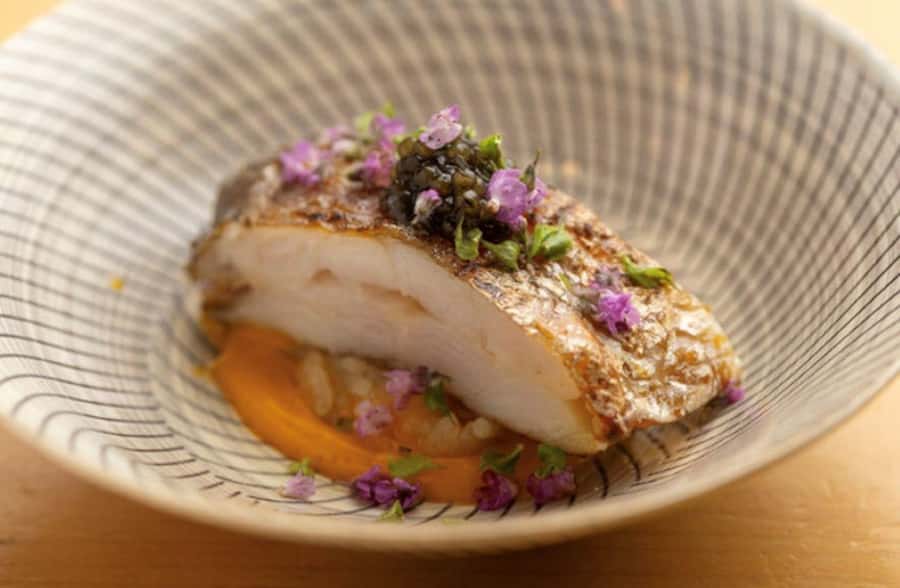 Tokyo: Premium Omakase Sushi and Sake Pairing - Analyzing the Value