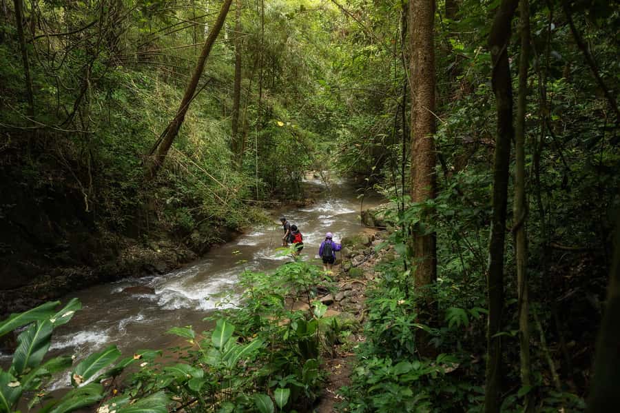 Chiang Mai : Follow the River in Chiang Dao Full Day Hiking - An Authentic Natural Escape with Purpose