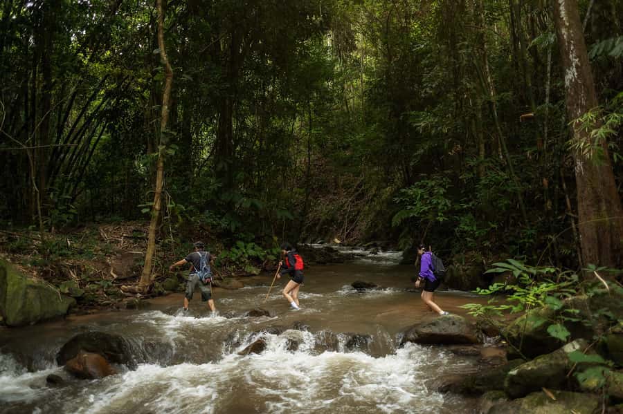 Chiang Mai : Follow the River in Chiang Dao Full Day Hiking - The Journey Through Mae Mae Village and Forest
