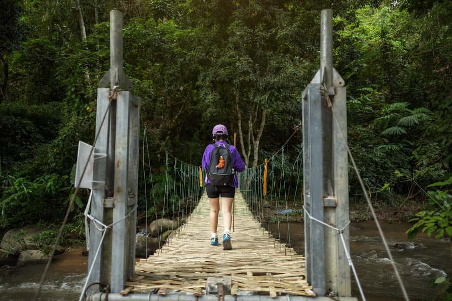 Chiang Mai : Follow the River in Chiang Dao Full Day Hiking - The Sum Up