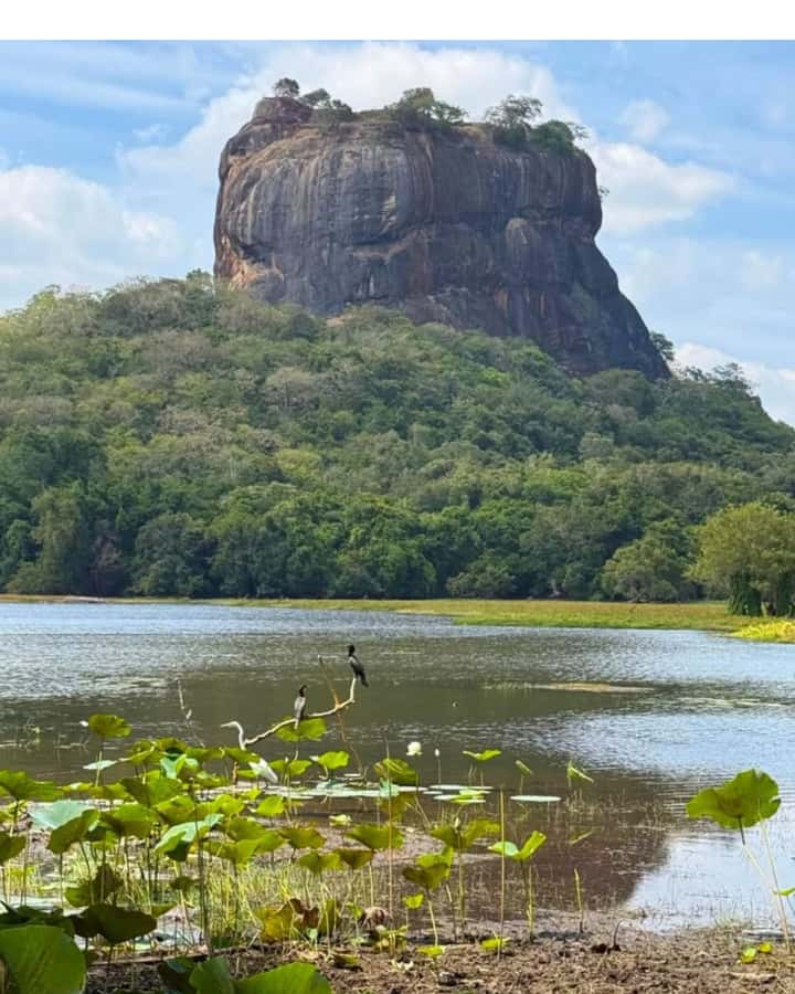 From Kandy: Dambulla to Sigiriya Day Trip By Car - Key Points