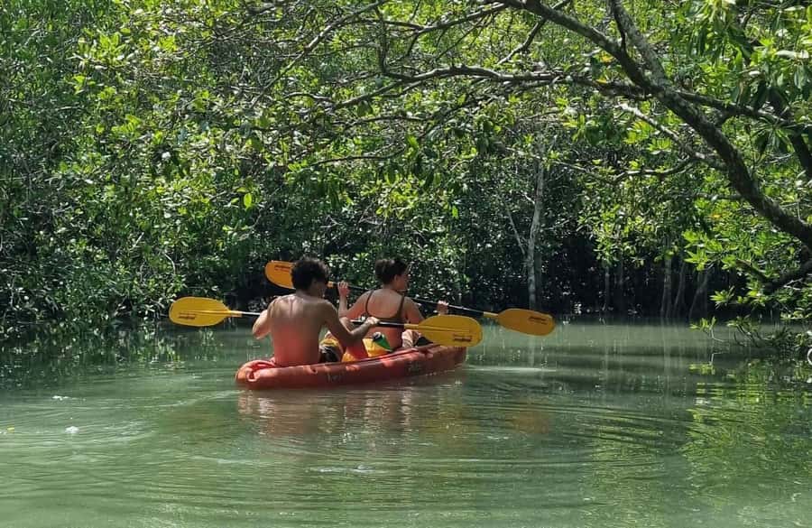 Ko Lanta: The Mangrove Kayaking Experience + Local Lunch - Key Points