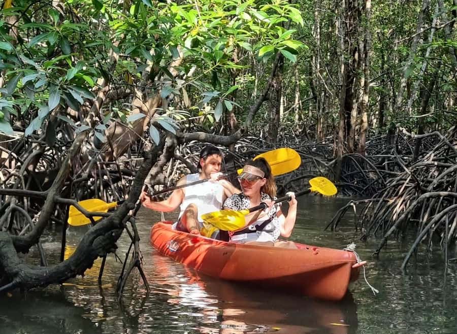 Ko Lanta: The Mangrove Kayaking Experience + Local Lunch - Introduction to the Ko Lanta Mangrove Kayaking Tour