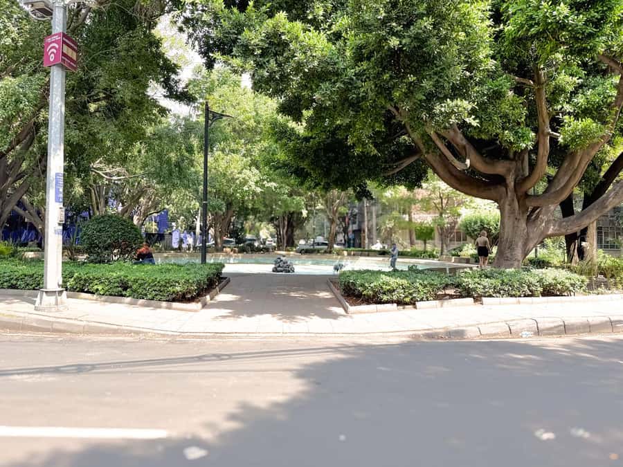 Mexico City: Tuk Tuk Tour from Condesa to Hipódromo - The Sum Up