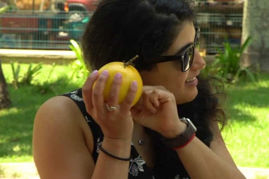 Mexico's Tropical Fruit Guided Tasting in Mexico City - Mexicos Tropical Fruit Guided Tasting in Mexico City: An Authentic Flavor Journey