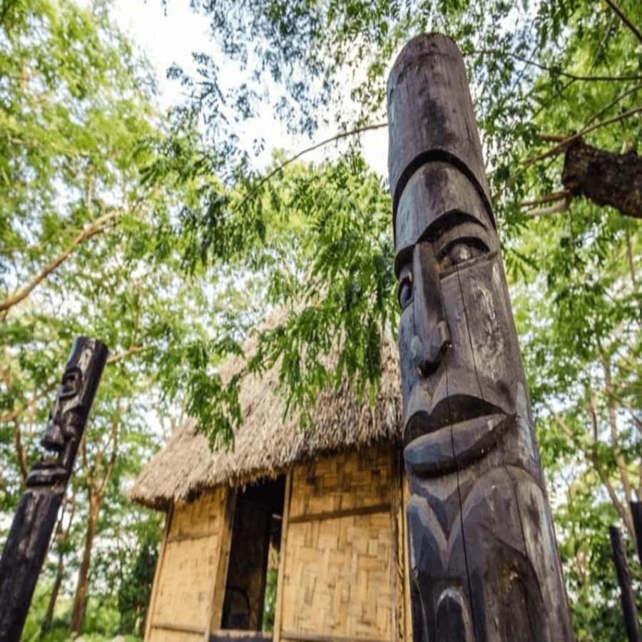 Fiji: Cultural Village Evening Tour with Dinner and Show - Authentic Fijian Culture Under the Night Sky: A Review of the Cultural Village Evening Tour with Dinner and Show