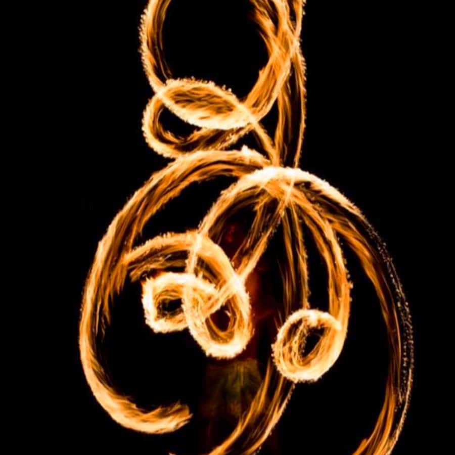 Fiji: Cultural Village Evening Tour with Dinner and Show - Who Will Enjoy This Experience?