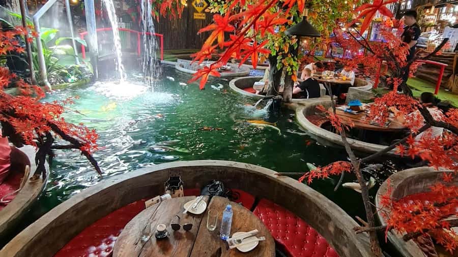 Chiang Mai: Pha Chor Canyon Afternoon Light & Carp Cafe - FAQs