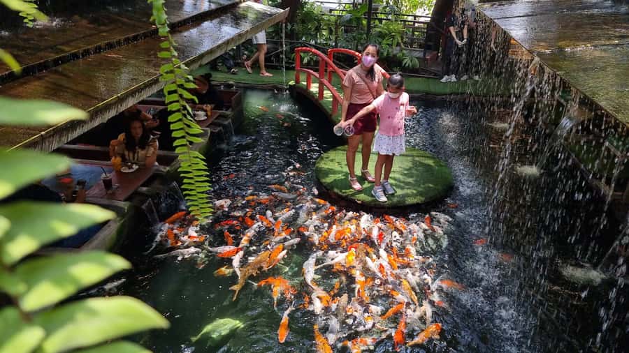 Chiang Mai: Pha Chor Canyon Afternoon Light & Carp Cafe - Analyzing the Value