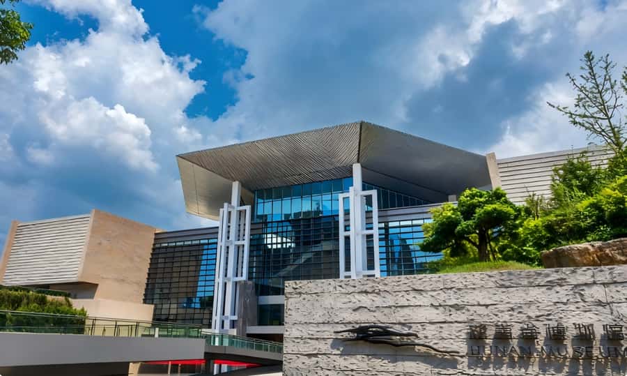 Hunan Museum Entry Ticket with English guidebook - Who Would Love This Experience?