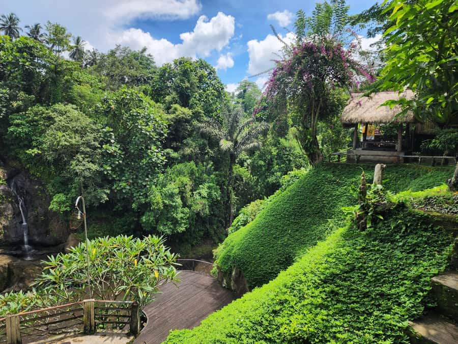 Ubud: Hidden Waterfalls, Rice terrace & Cliffside Dining - Discovering the Hidden Gems of Ubud’s East Side