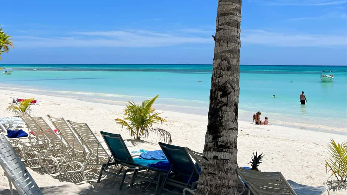 Punta Cana: Dive the Coral Paradise of Catalina Island - The Sum Up