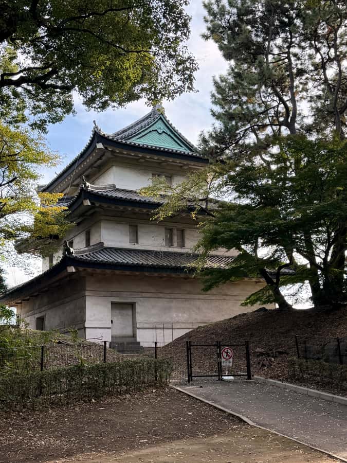 Tokyo: Imperial Palace and Ishibashi bridge walking tour - A Deep Dive Into the Tour Experience