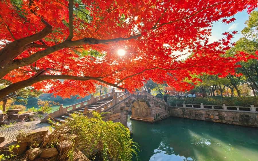 Shanghai to Suzhou One Day Private Tour with Bullet Train - Value and Practicality