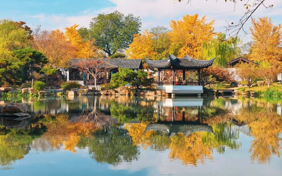 Shanghai to Suzhou One Day Private Tour with Bullet Train - A Complete Look at the Tour Experience