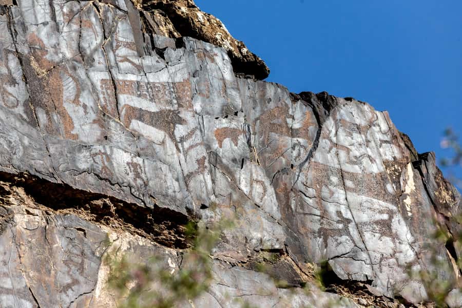 Visit Ukhum (Nourata Mountains), petroglyphs, and a donkey ride (3 days) - Practical Details and Value