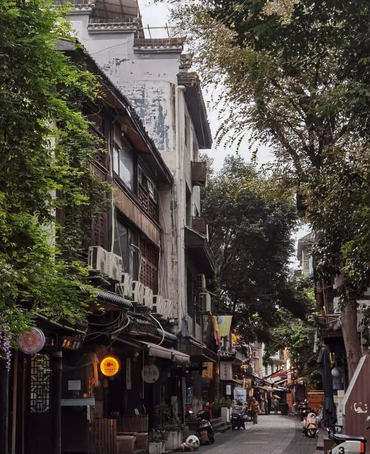 Changsha: Hunan Museum, Fan Paint Workshop & Creative Market - Who Will Enjoy This Tour?