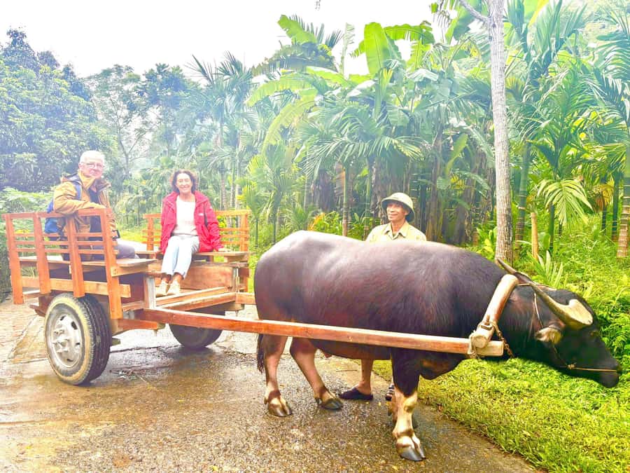 Pu Luong Village Life: Cycling, Local Cooking & Buffalo Cart - Price and Value