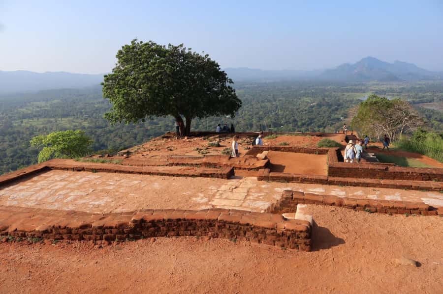 Sigiriya & Dambulla Day tour from Bentota Beruwala Ahungalle - Key Points