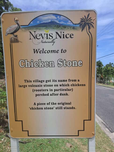 Nevis: Island Tour with Hot Springs and Historical tour - A Closer Look at the Tour Experience