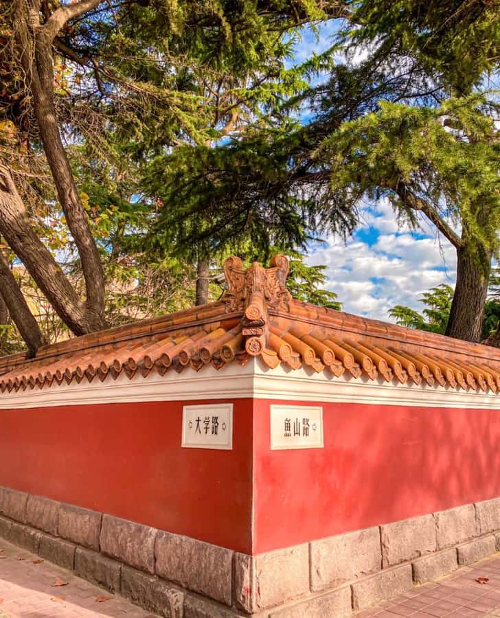 Qingdao: Offshore City Highlights with Fan Workshop & Market - Who Should Consider This Tour?