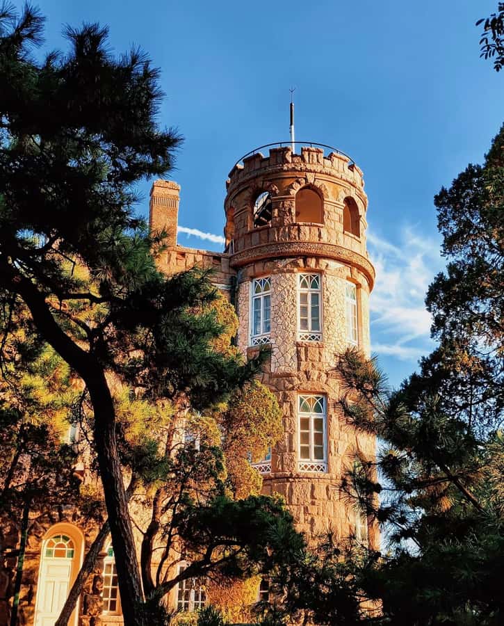 Qingdao: Offshore City Highlights with Fan Workshop & Market - Transportation and Practicalities