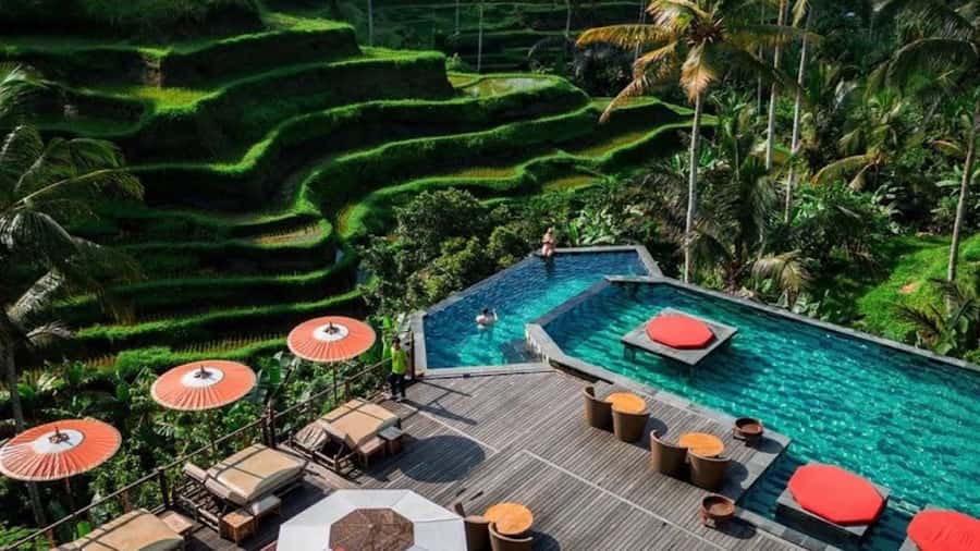 Ubud: ATV Tour with Dtukad Coffee Club - Good To Know