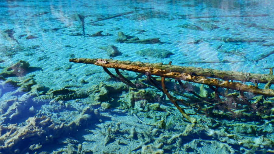 Jiuzhaigou Valley: UNESCO Colorful Lakes & Tibetan Village - Transport, Timing, and Practicalities