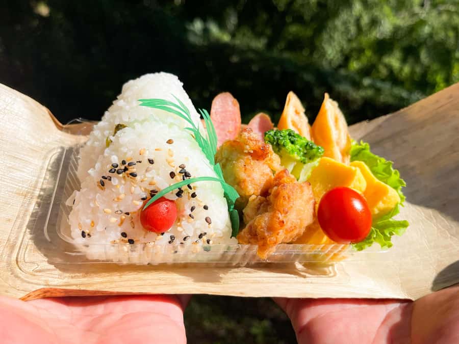 Kagoshima Kirishima National ParkVolcano Trek & Bento Lunch - FAQ