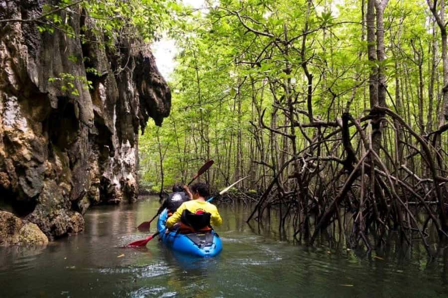 Krabi: Half-Day Kayaking Adventure at Ao Thalane - The Itinerary in Detail
