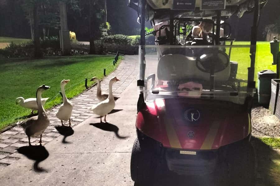 Jakarta: Senayan Night Golf with City Views and Transfer - Practical Tips for a Great Experience