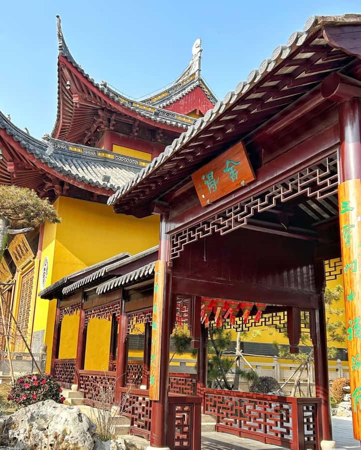 Shanghai to Chongming: Ecology, Culture & Hands-on Tour - Good To Know