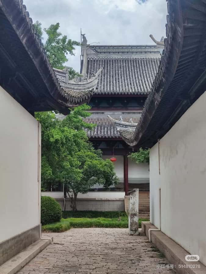 Shanghai to Chongming: Ecology, Culture & Hands-on Tour - FAQ