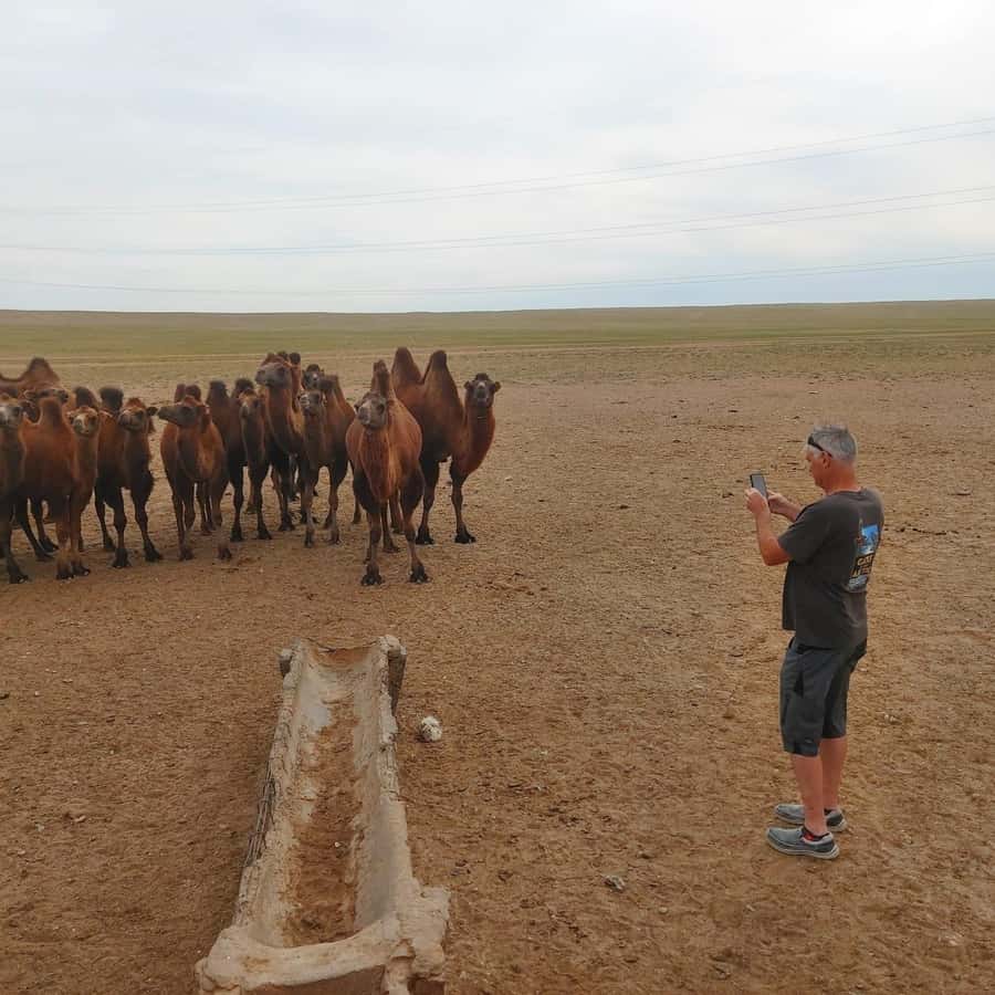 Ulaanbaatar: Khustai NP, Semi Gobi & Kharkhorin Tour - Who Is This Tour Best For?