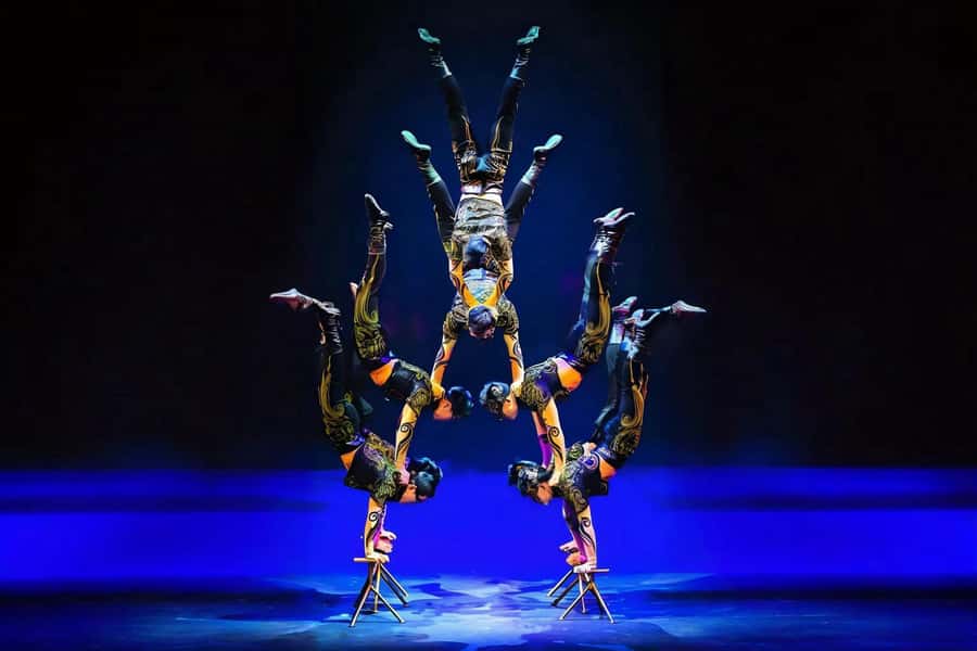 Shanghai: Journey Through Time and Space Acrobatics Show - An In-Depth Look at the Experience