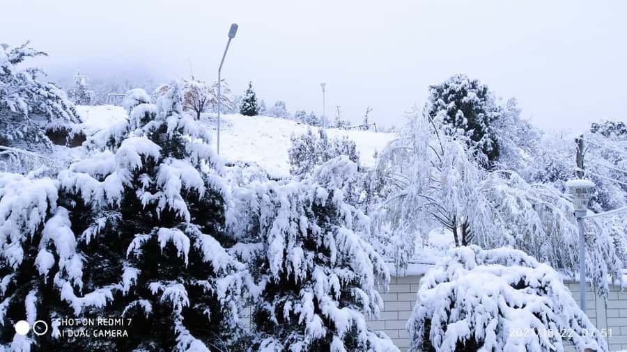 From Samarkand: Zomin Mountains Winter Cable Car Day Trip. - The Itinerary in Detail
