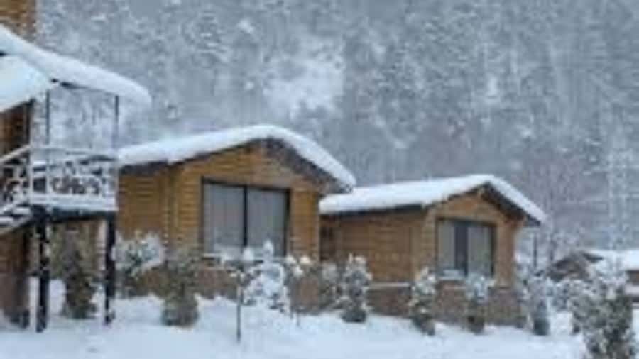 From Samarkand: Zomin Mountains Winter Cable Car Day Trip. - An Overview of the Experience