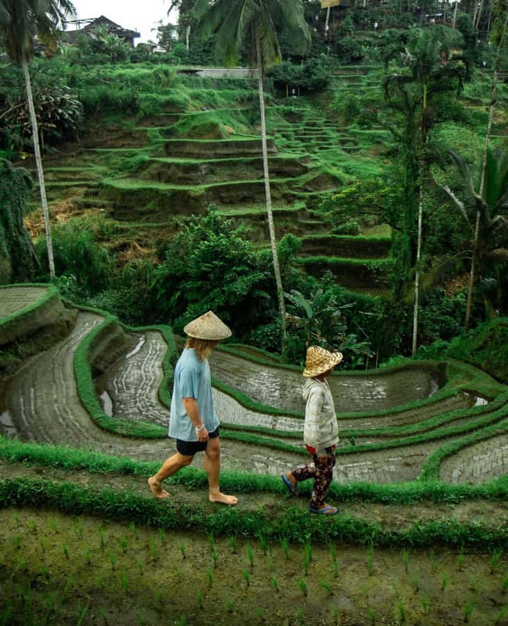 All-Inclusive Rice Terrace, Waterfall, and Temple Day Tour - Who Should Consider This Tour?  