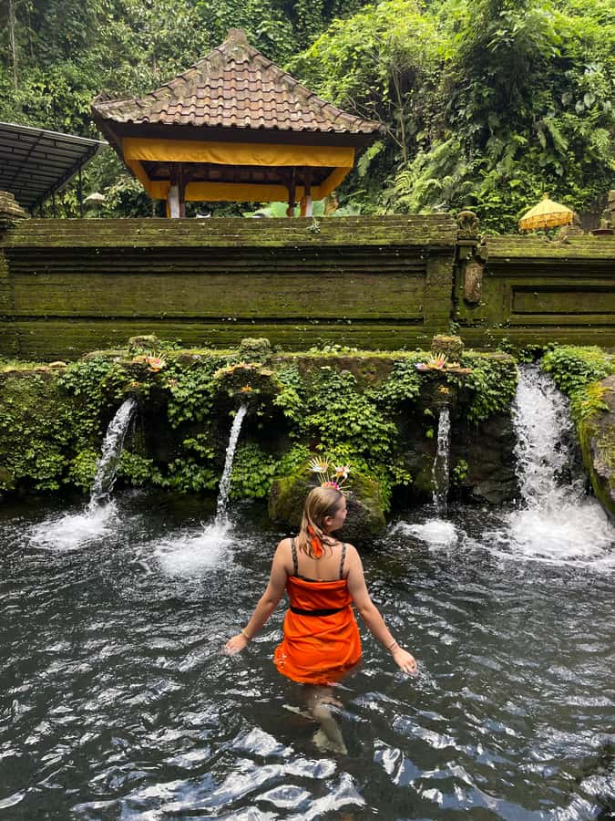 All-Inclusive Rice Terrace, Waterfall, and Temple Day Tour - Authentic Experiences and Guest Insights  